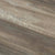 Exotica in 308 Luxury Vinyl