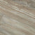 Exotica in 326 Luxury Vinyl