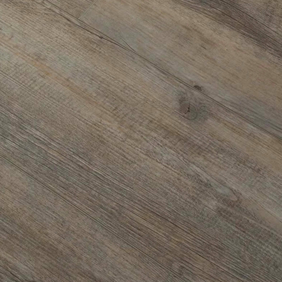Exotica in 381 Luxury Vinyl