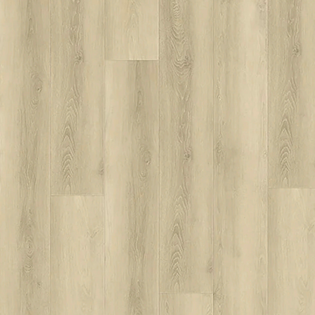 Exotica in 704 Luxury Vinyl