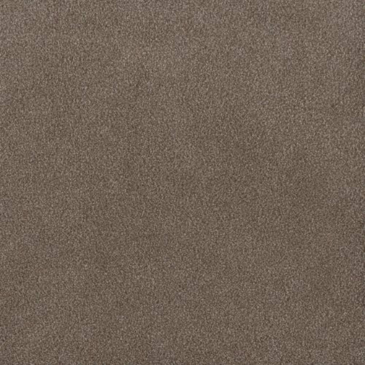 PALMETTO III