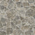 Omega+ in Earthbound Fossil Vinyl Sheet Goods