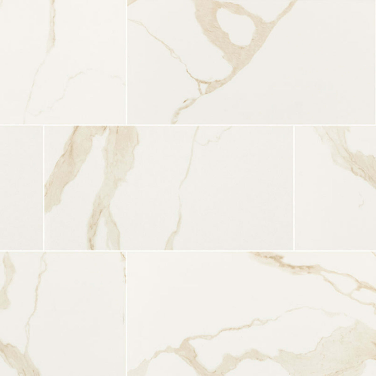 Eden in Calacatta - 12x24 Polished Tile