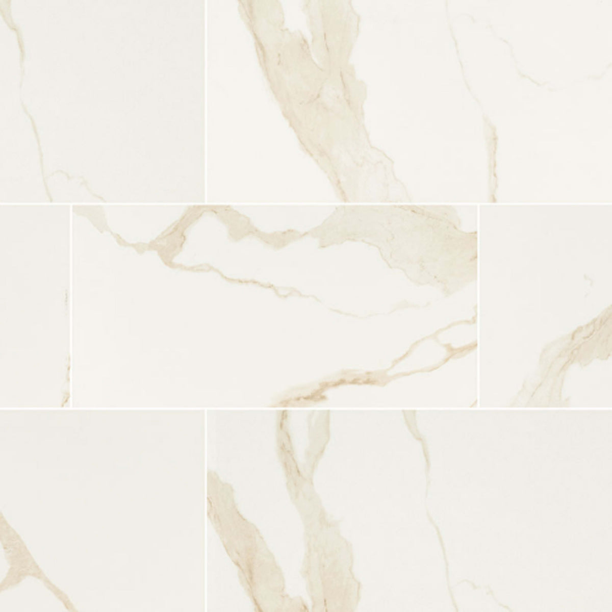 Eden in Calacatta - 24x48 Matte Tile