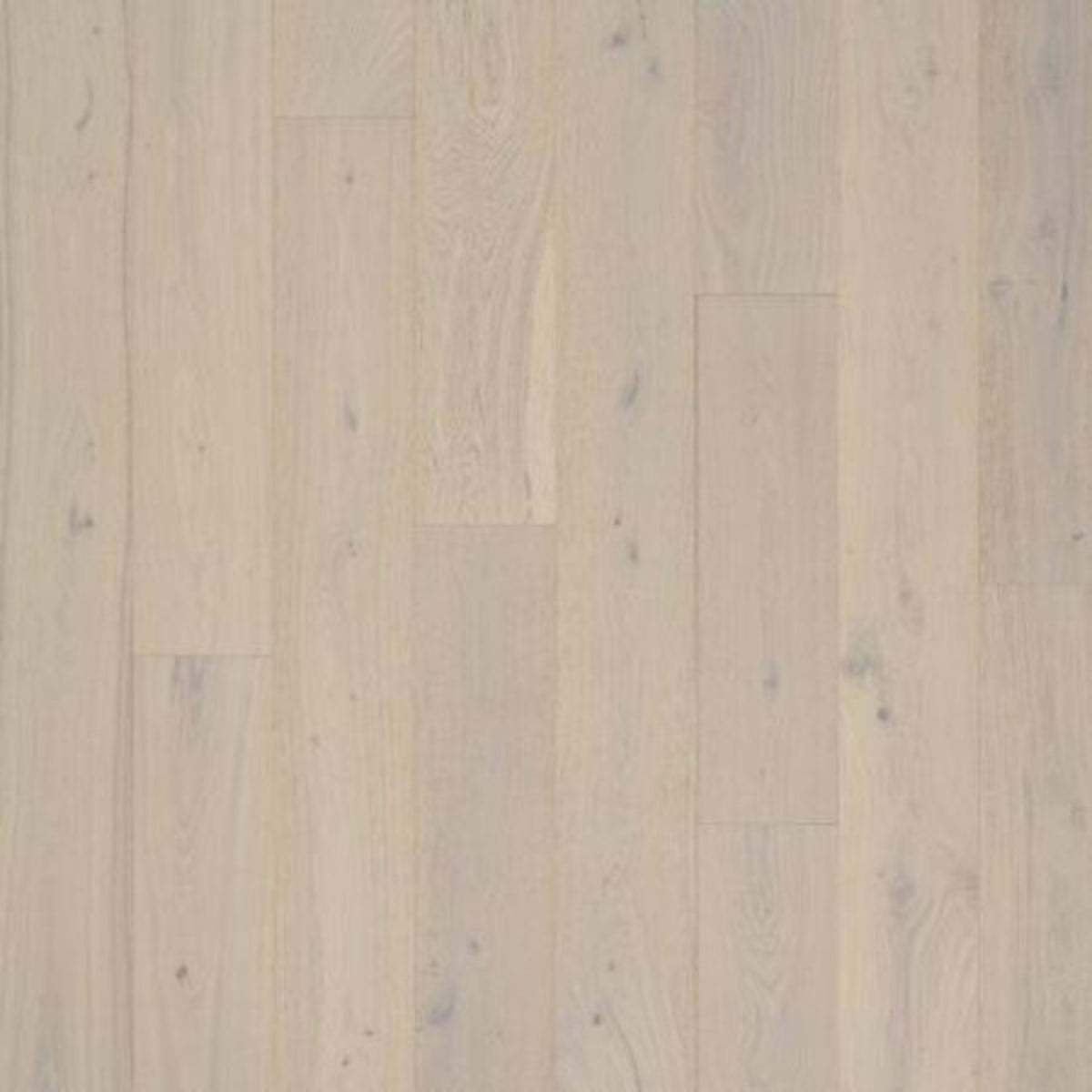 PremierLux in Elated Oak Luxury Vinyl
