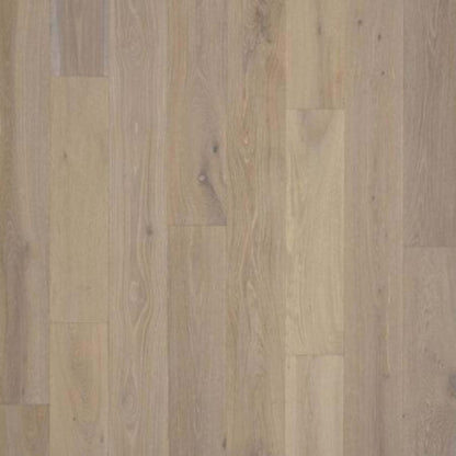 PremierLux in Enchanted Oak Luxury Vinyl