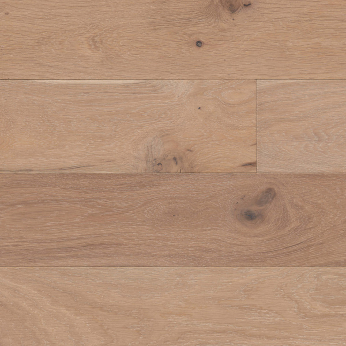 Adelaide in Enfield Hardwood