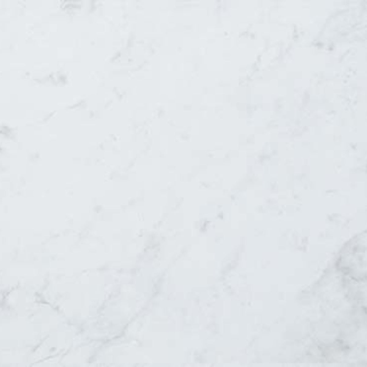 Eon in Carrara 12.375x22.5 Tile