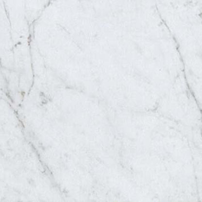 Eon in Carrara 12x24 Tile