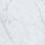Eon in Carrara 12x24 Tile