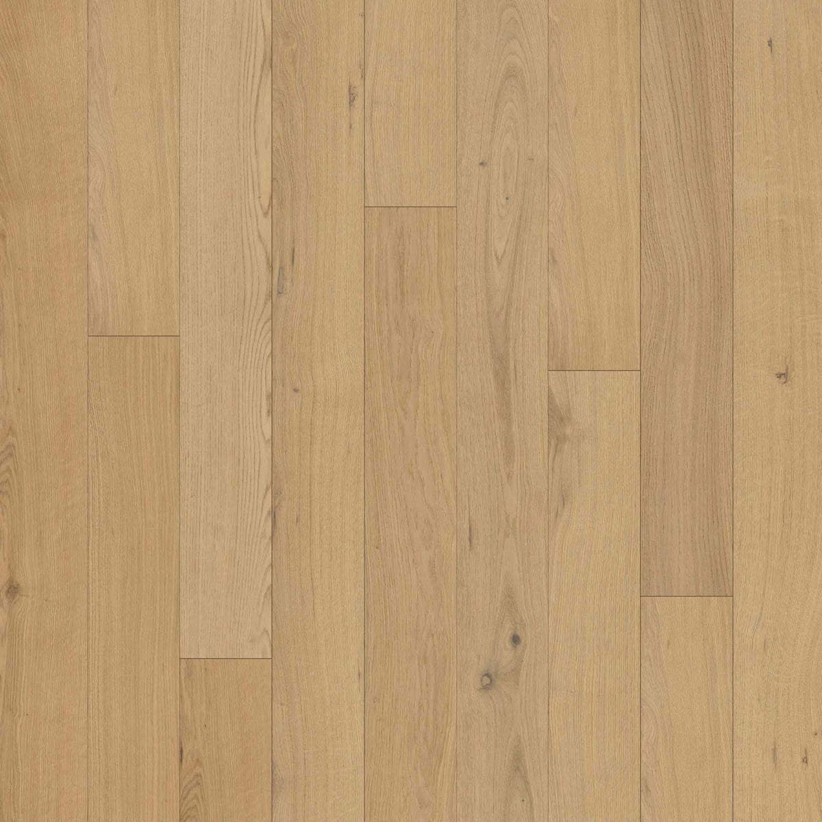 Escalera in Palmera Hardwood