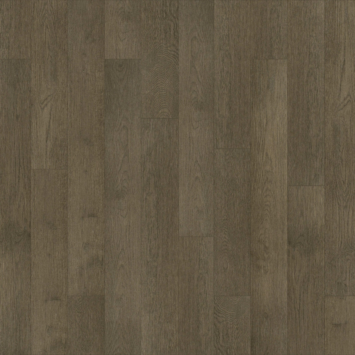 Escalera in Brahma Hardwood