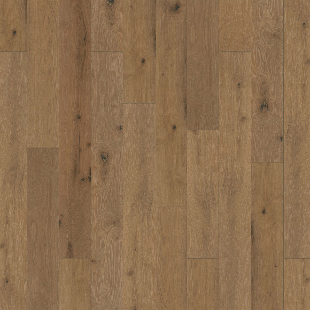 Escalera in Charbray Hardwood