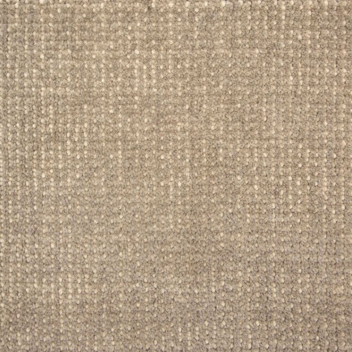 Esha in Gravel Carpet