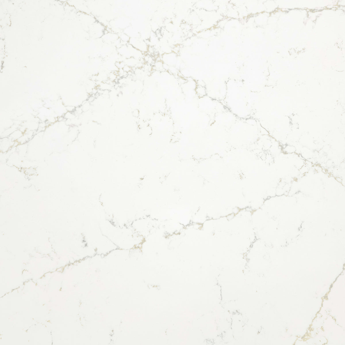 Musica in Etude Solid Surface