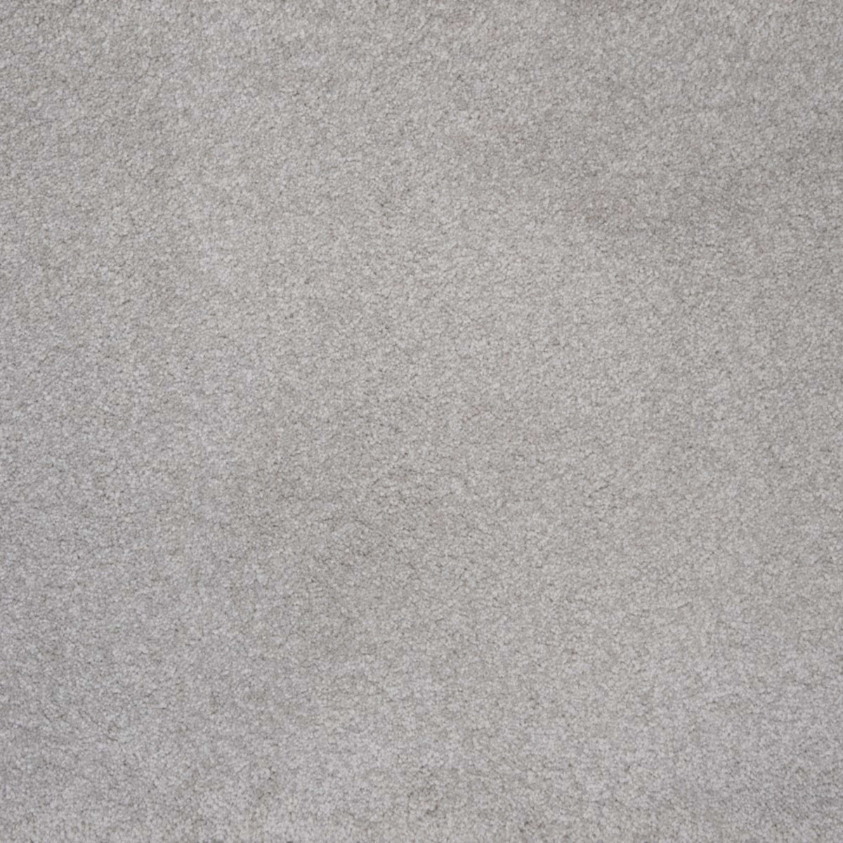 Evolve in Greige Carpet