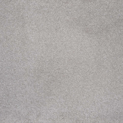 Evolve in Greige Carpet