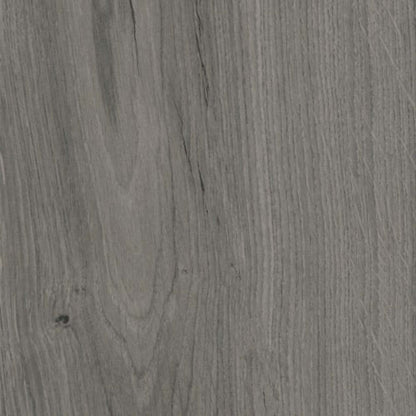 Excursion in Denali Tile