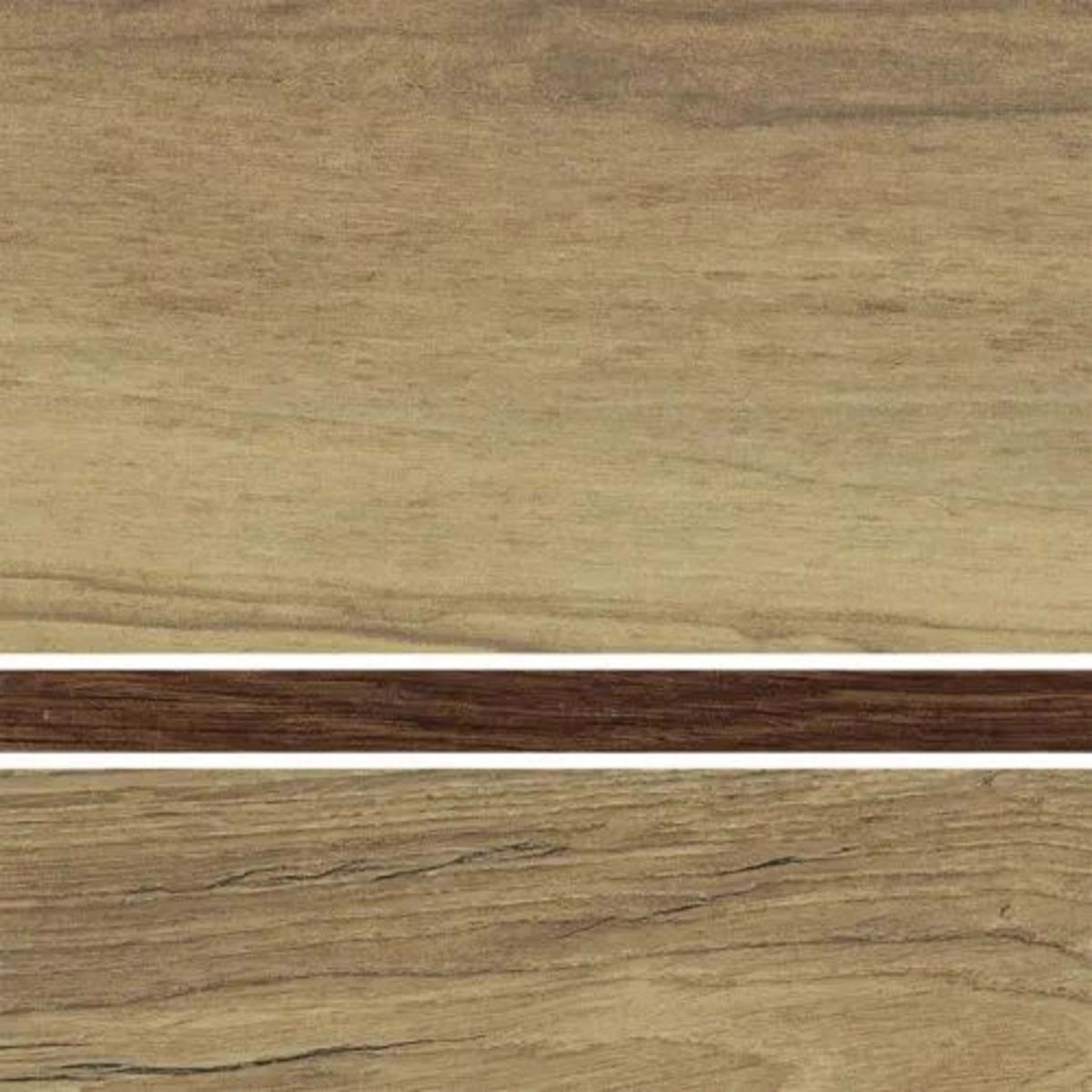 Excursion in Rainier W/ Sequoia Tile