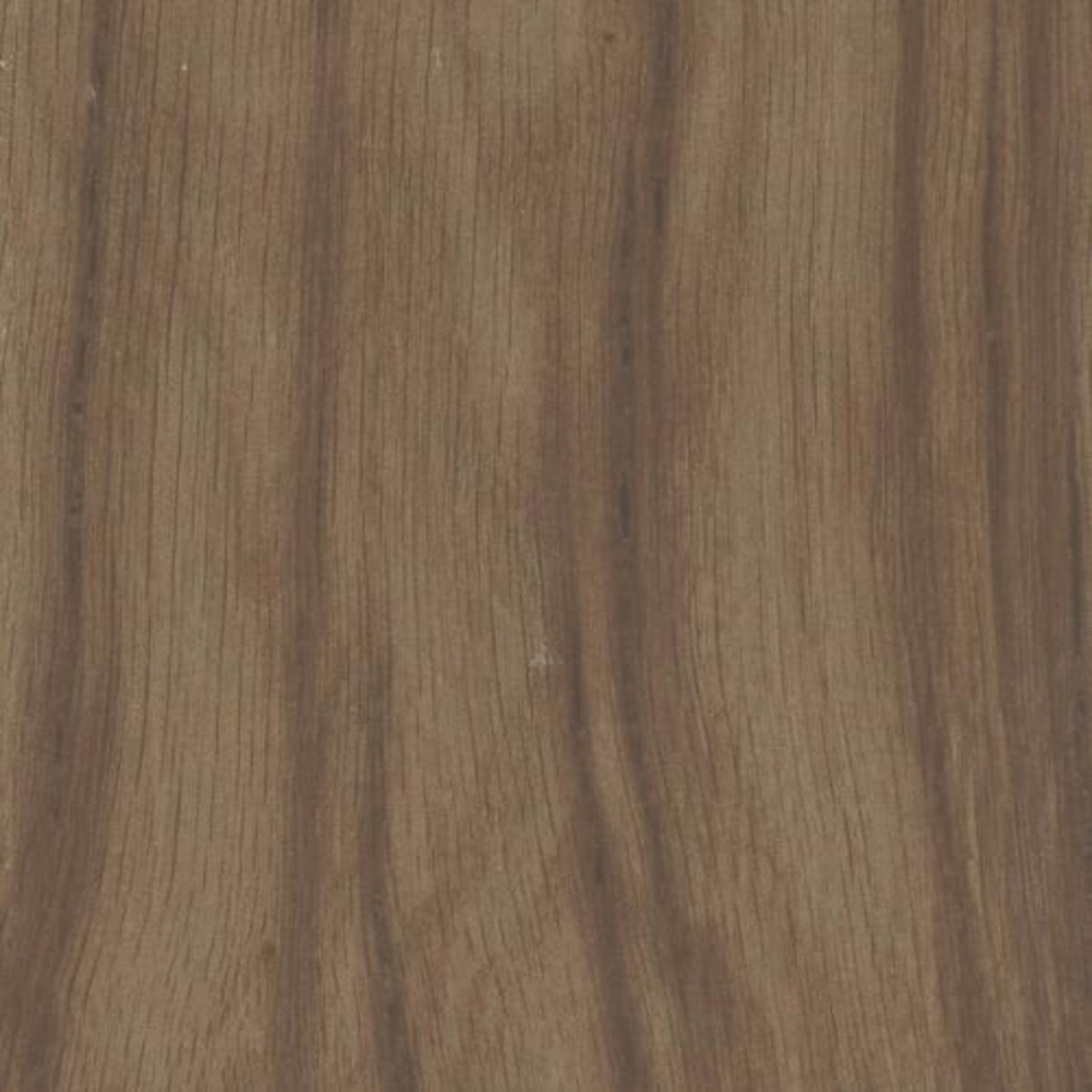 Excursion in Sequoia Tile