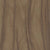 Excursion in Sequoia Tile