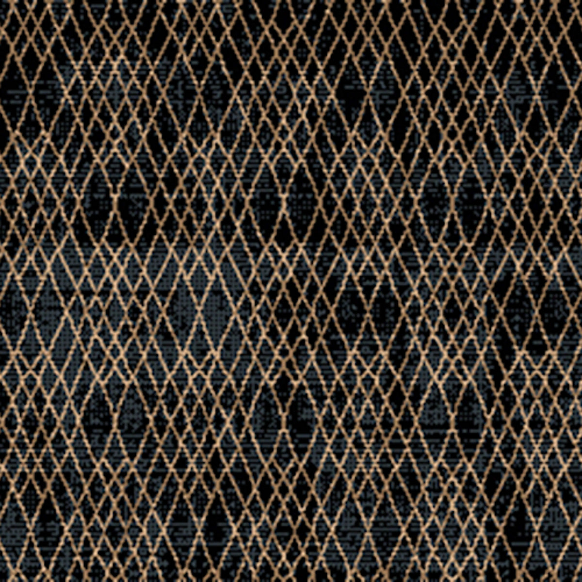 Expedition in Vigorous Carpet