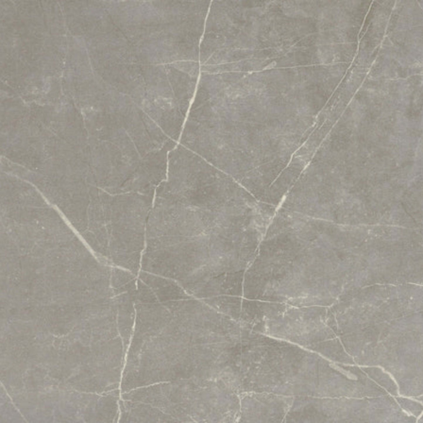 Sterlina II in Dove-12x24-Matte Tile