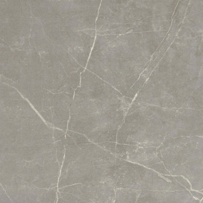 Sterlina II in Dove-12x24-Matte Tile