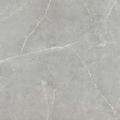 Sterlina II in Gray-12x24-Matte Tile