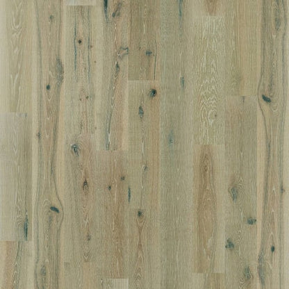 EXQUISITE