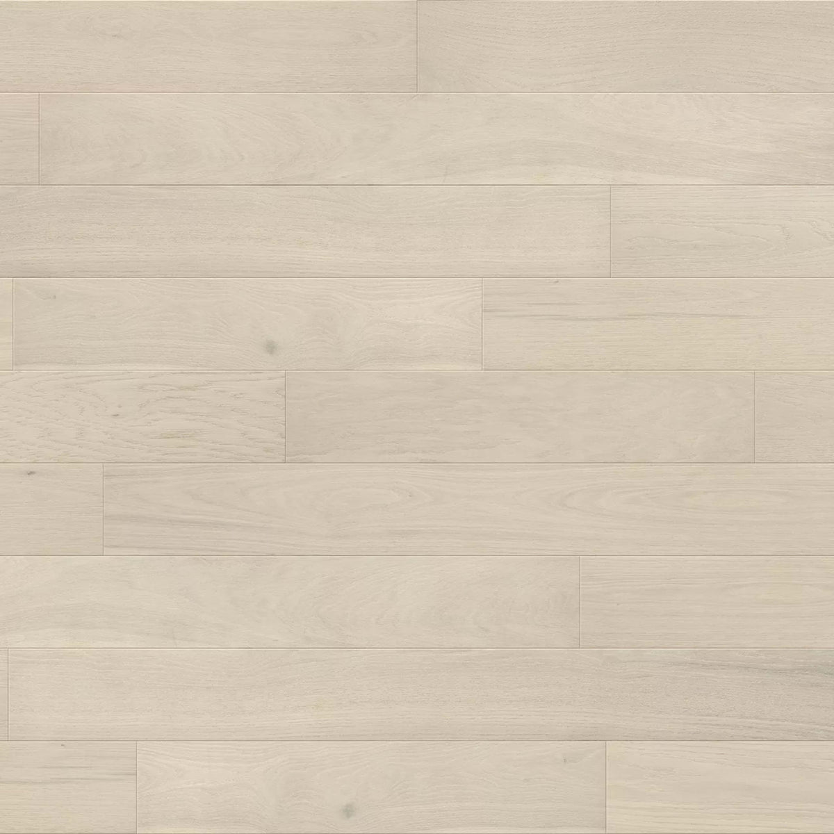 French Impressions in Renoir Hardwood