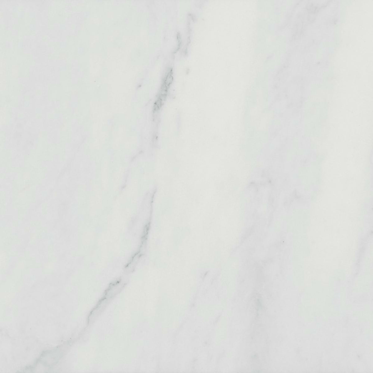 Premier Marble in Makrana Honed 12x12 Natural Stone