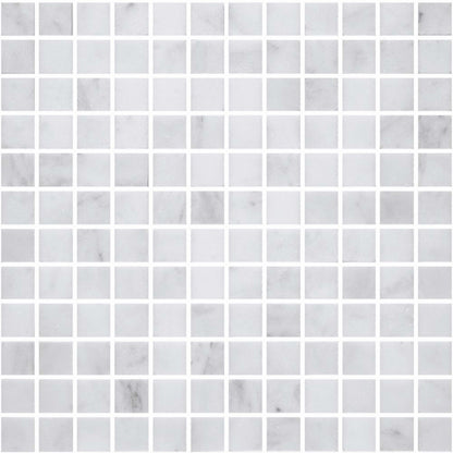 Premier Marble in Makrana Honed M1x1 Natural Stone