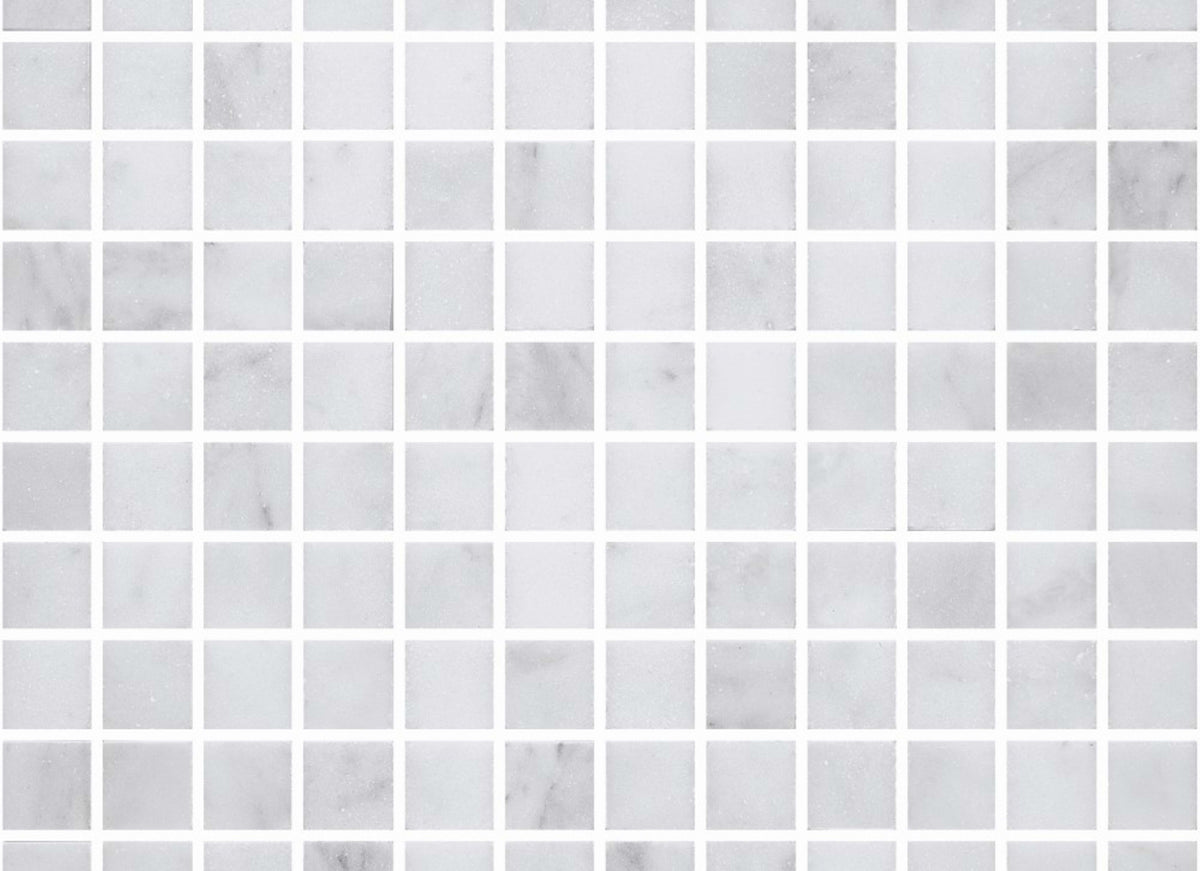 Premier Marble in Makrana Honed M1x1