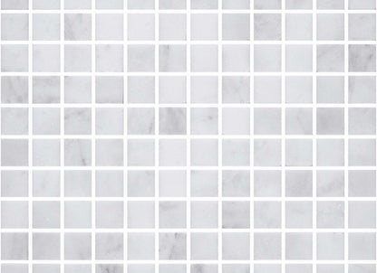 Premier Marble in Makrana Honed M1x1