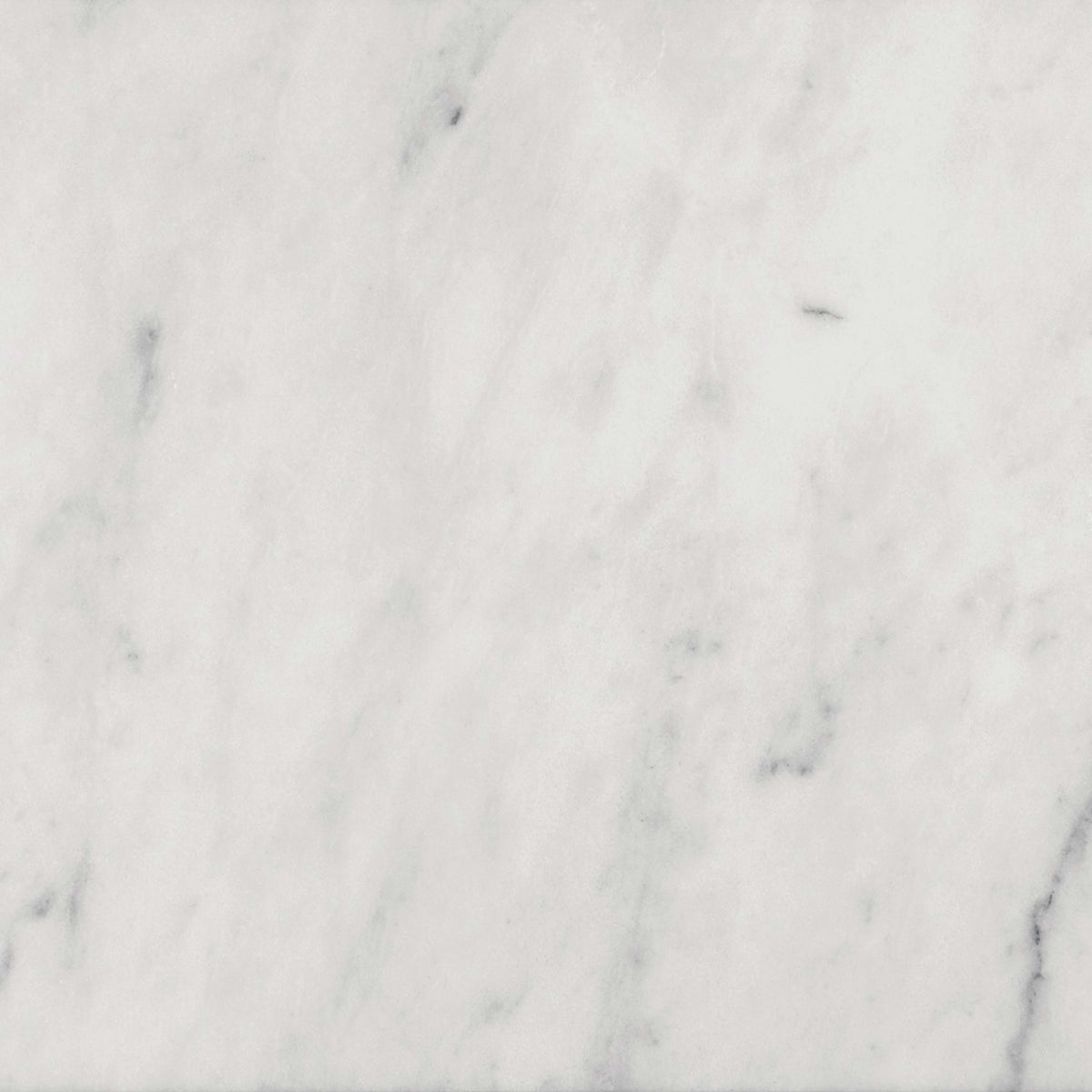 Premier Marble in Makrana Polished 12x24 Natural Stone
