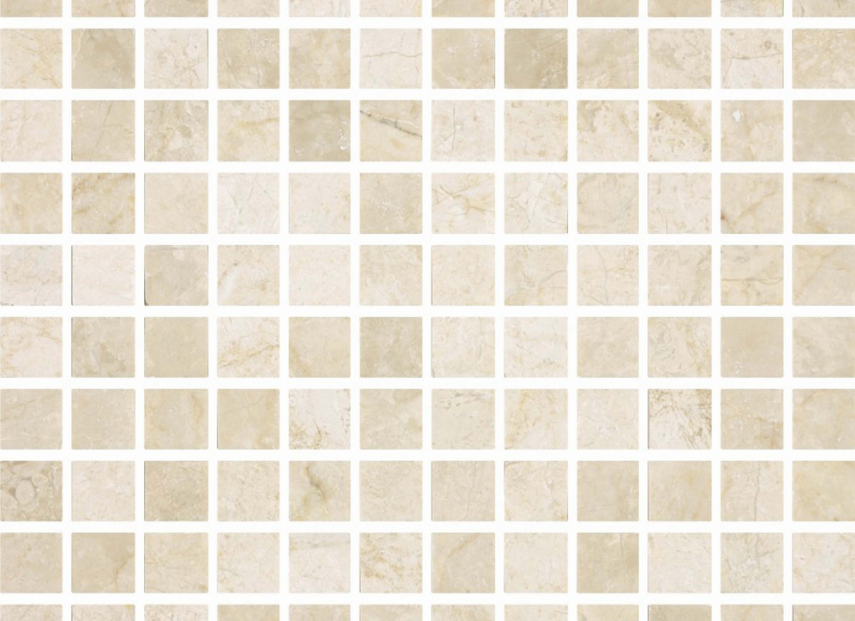 Premier Marble in Crema Honed M1x1