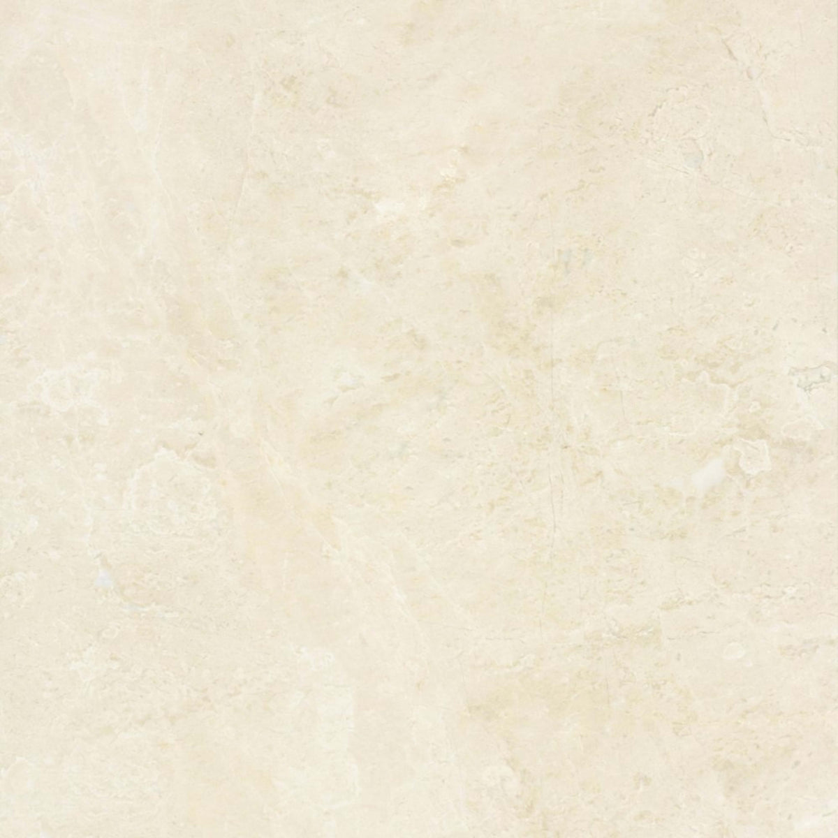Premier Marble in Crema Polished 12x24 Natural Stone