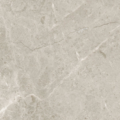 Premier Marble in Argento Honed 12x24 Natural Stone