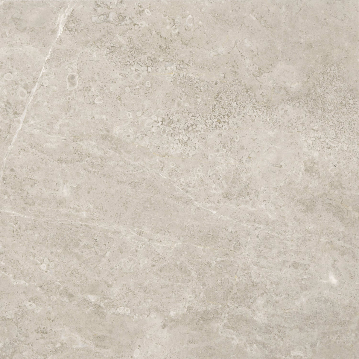 Premier Marble in Argento Polished 12x12 Natural Stone