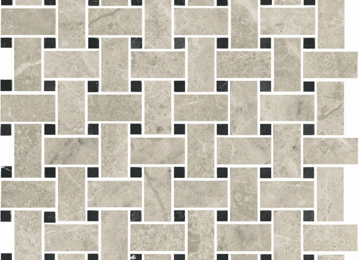 Premier Marble in Argento Polished M12bw