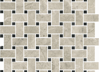 Premier Marble in Argento Polished M12bw