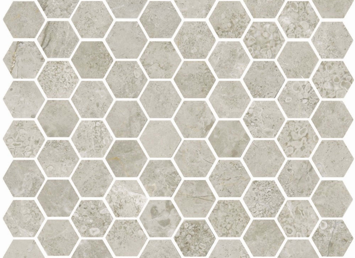 Premier Marble in Argento Polished M12hex