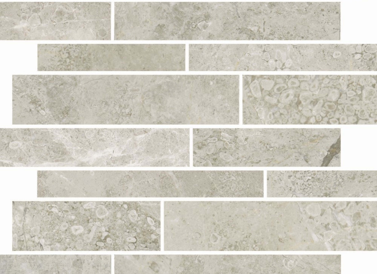 Premier Marble in Argento Polished Rsp12