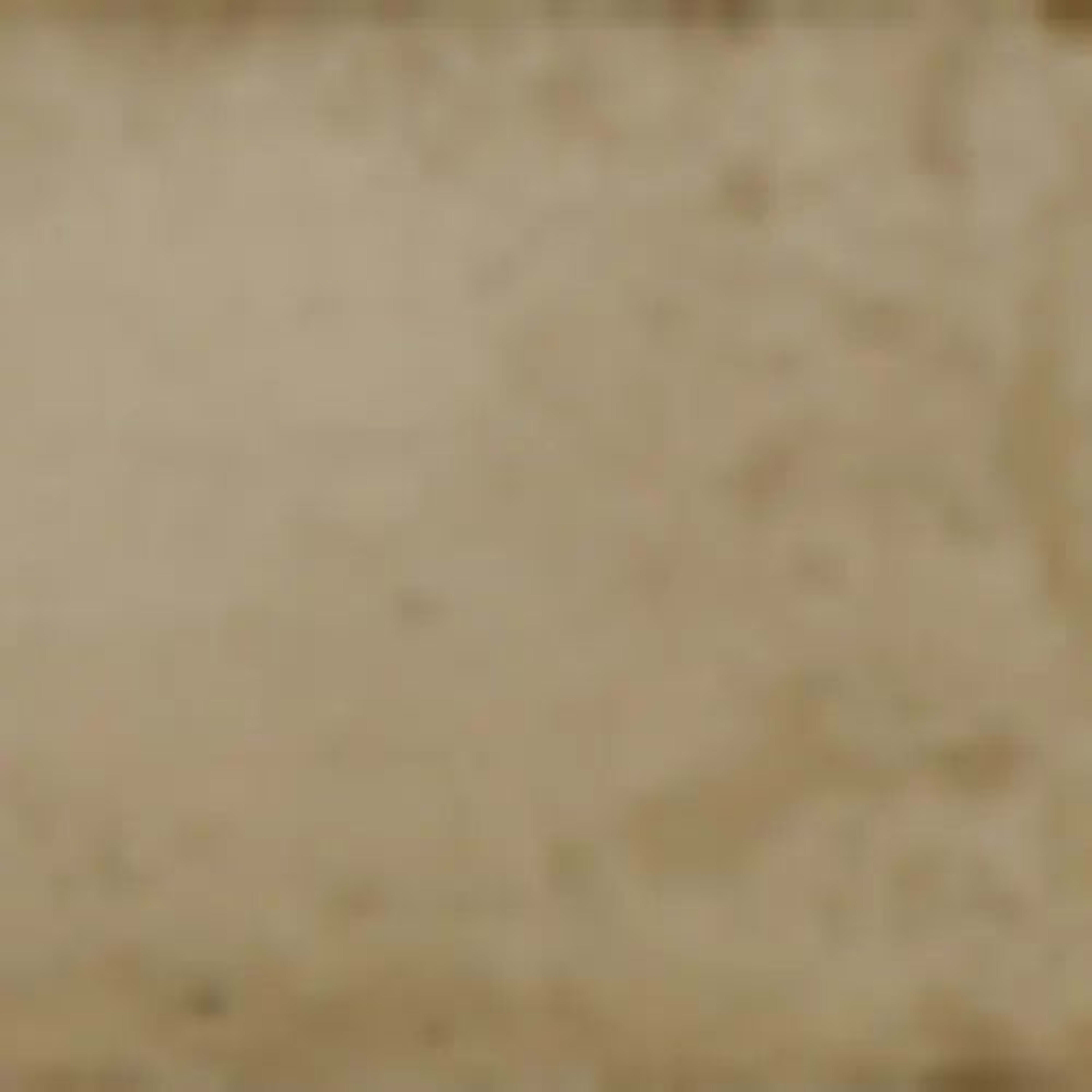 Storied in Chicory Greige Tile