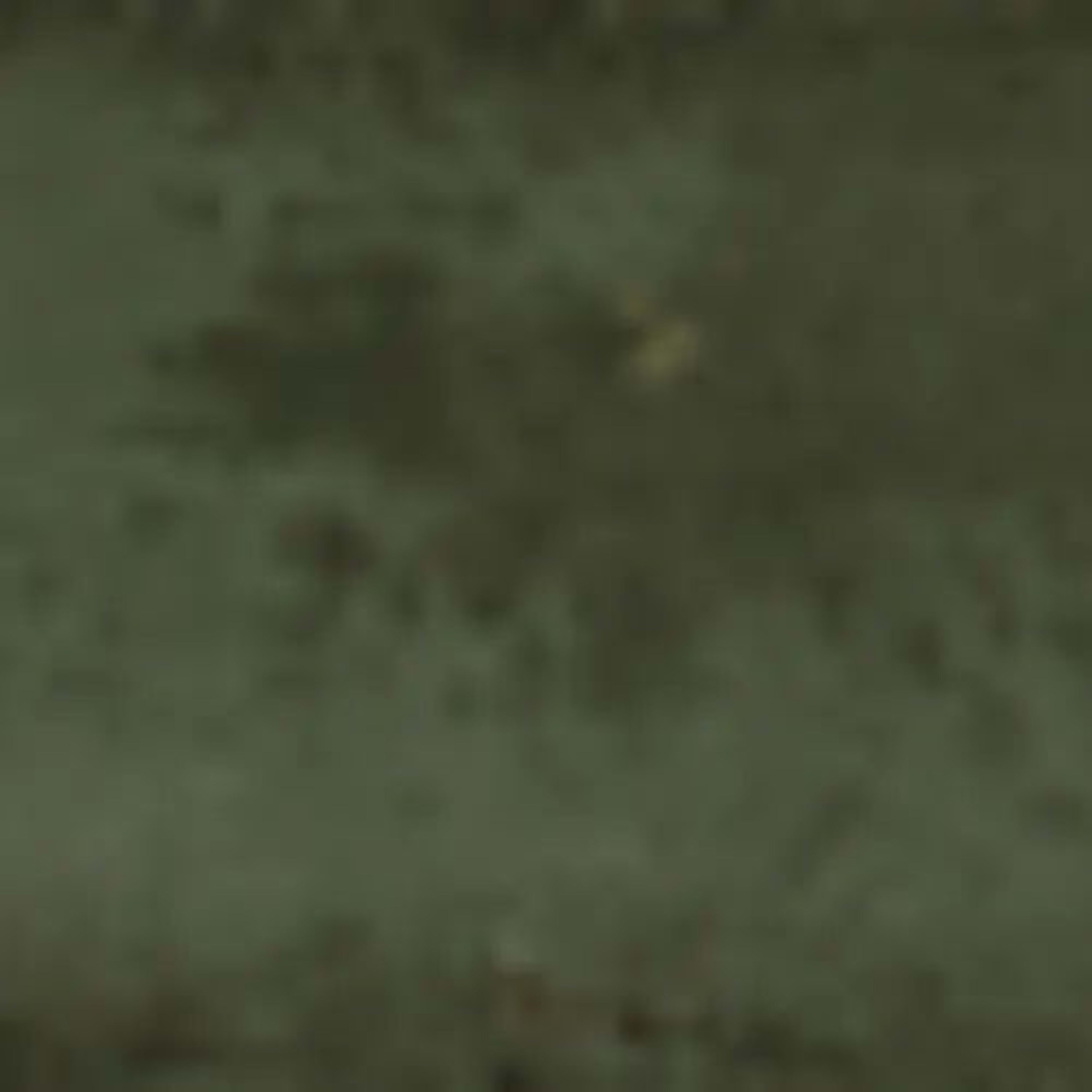 Storied in Nettle Green Tile
