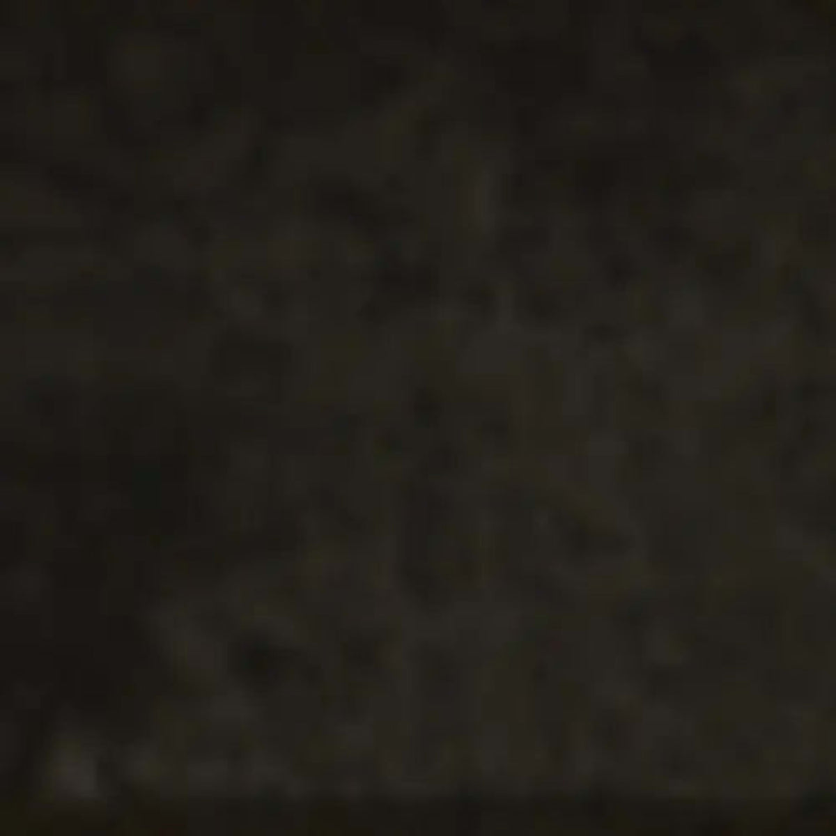 Storied in Black Cardamom Tile