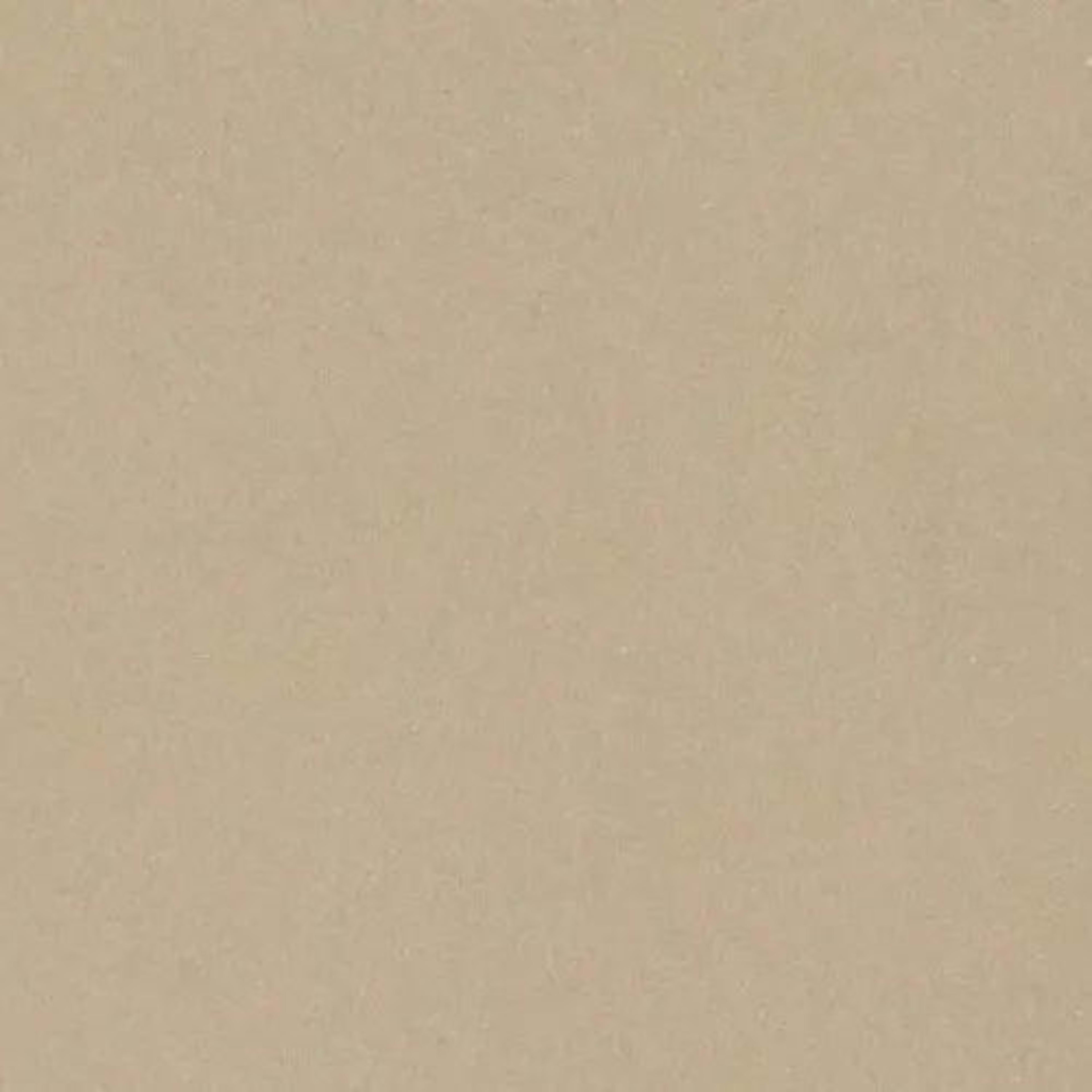 Time 2.0 in Beige Natural Tile – DesignCo