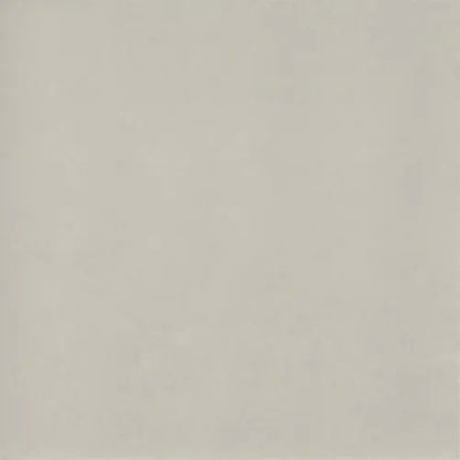 Time 2.0 in Silver Natural Tile