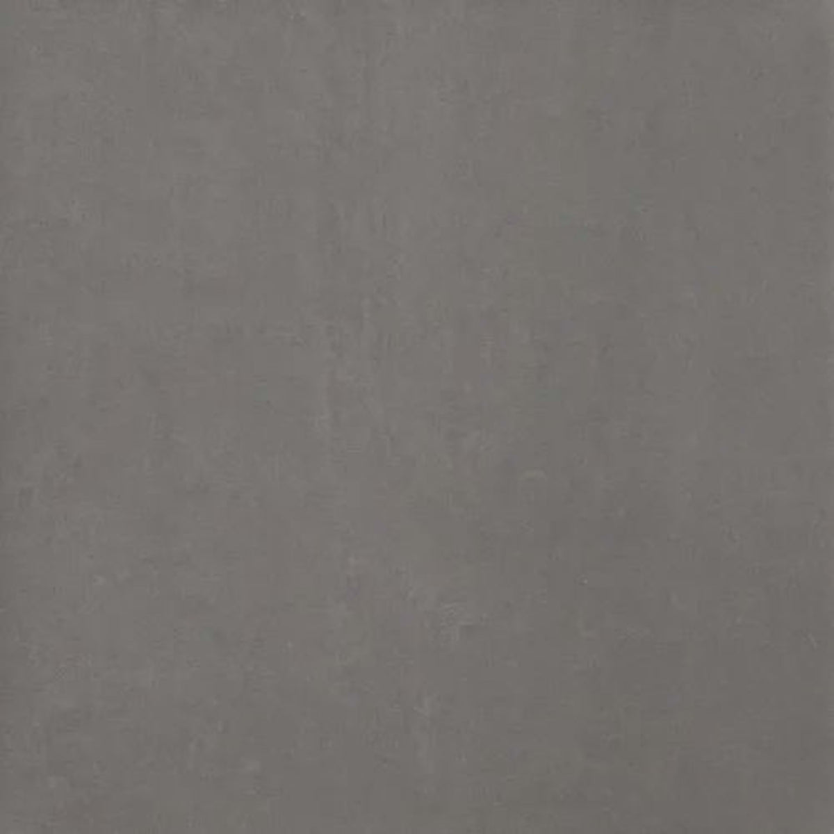 Time 2.0 in Carbon Natural Tile